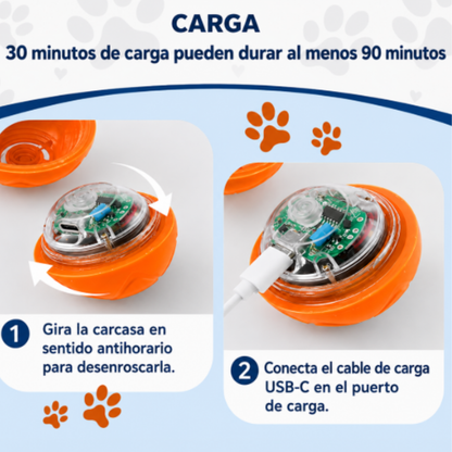 Pelota interactiva para perros