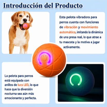 Pelota interactiva para perros