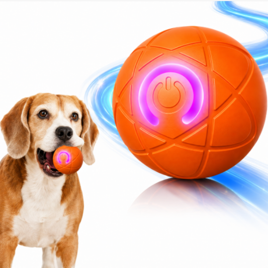 Pelota interactiva para perros